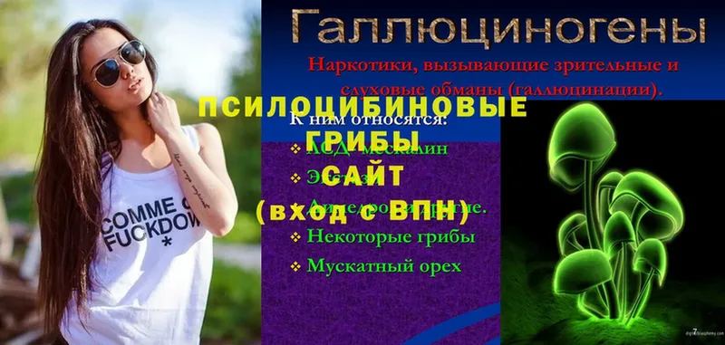 хочу наркоту  Великий Устюг  OMG зеркало  Псилоцибиновые грибы прущие грибы 